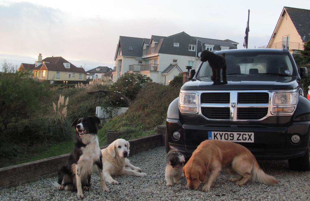 Upton Cross B&B Bude Exterior foto